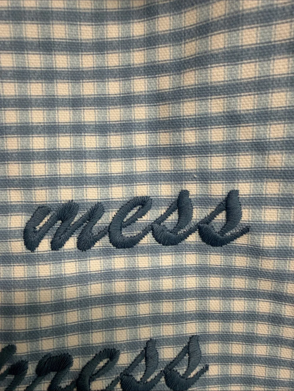 Lady Delaney | Blue Gingham Embroidered 'Hot Mess Express' Tote Bag Set - Picture 8 of 14